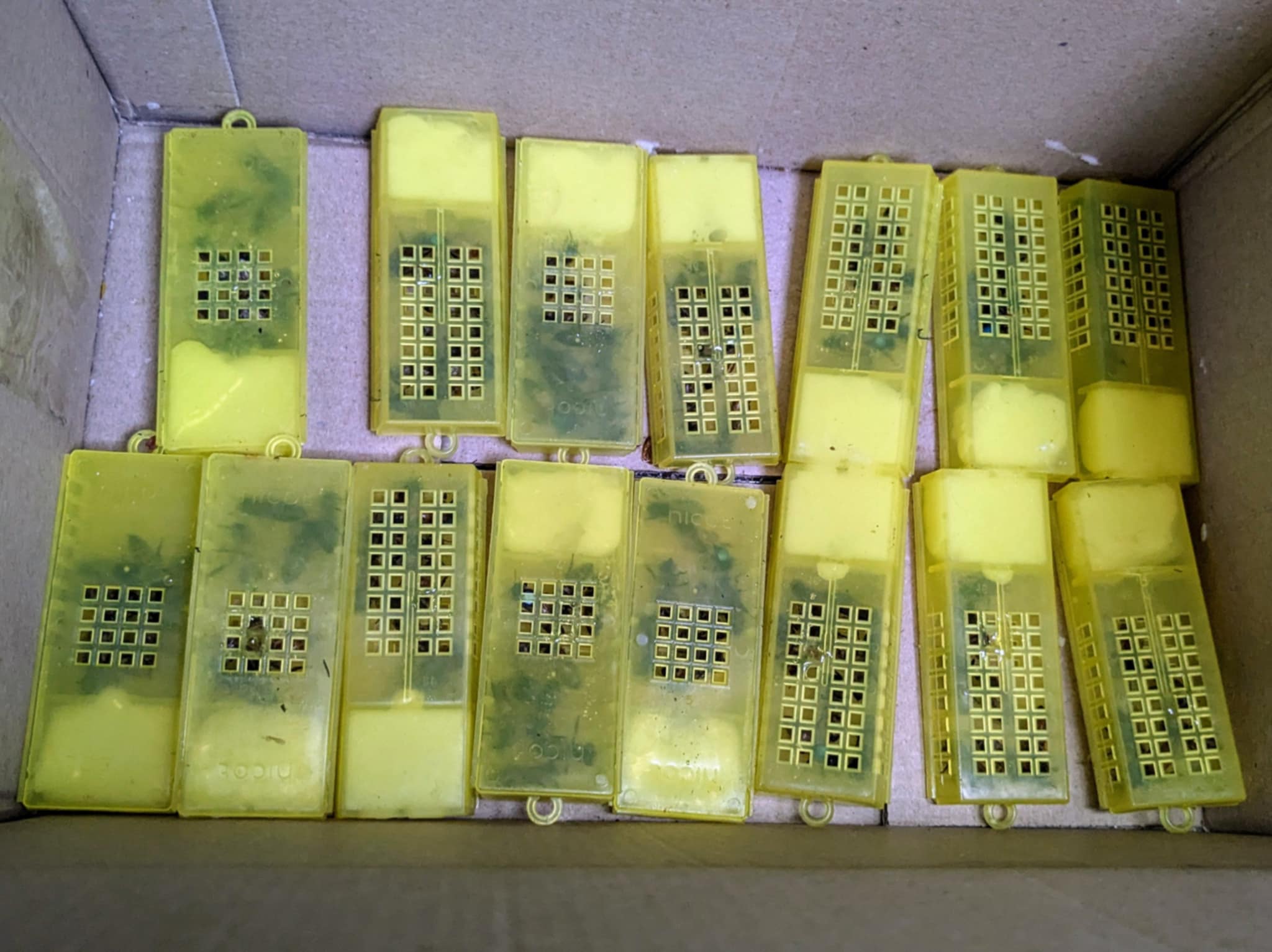 cagette introduction