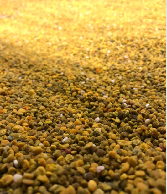 Pollen de fleurs