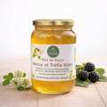 Miel de Trèfle Blanc et Ronce